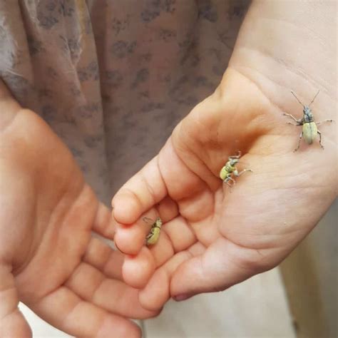 fun simple hand games  play  children connecting  littles