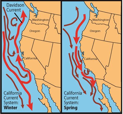 Nearshore Habitats – Oregon Conservation Strategy