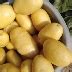 Картофель Мелодия: описание и характеристики, особенности посадки и ...