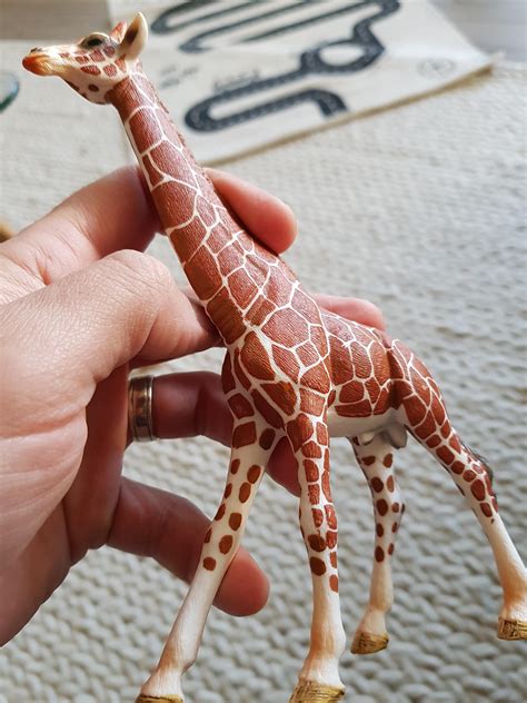 This anatomically correct toy giraffe : r/pics