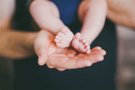 ¿Qué es la transferencia de huso? - Fundación fënn