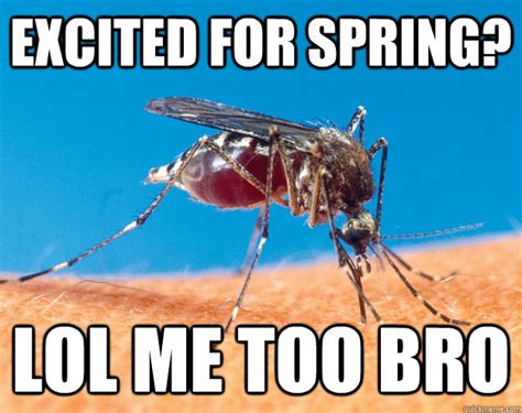 excited for spring? lol me too bro - mosquito - quickmeme