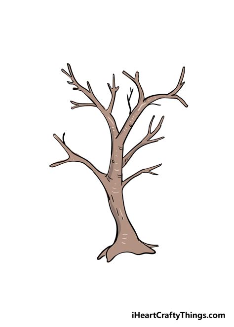 draw  tree trunk easy