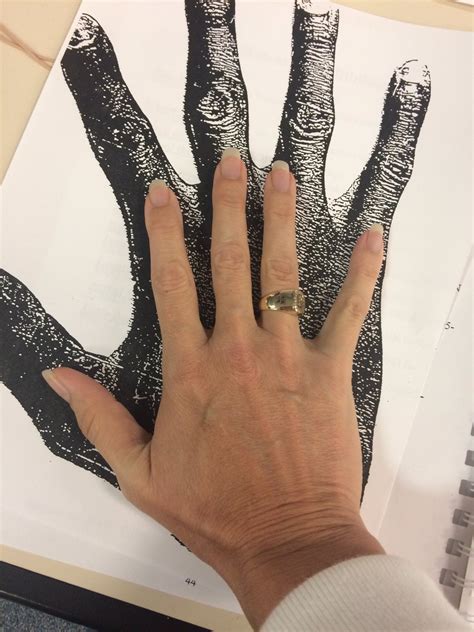 Shaq Hand Comparison