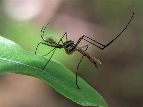 Micro+Bikinis+Gifs Photos, Download The BEST Free Micro+Bikinis+Gifs