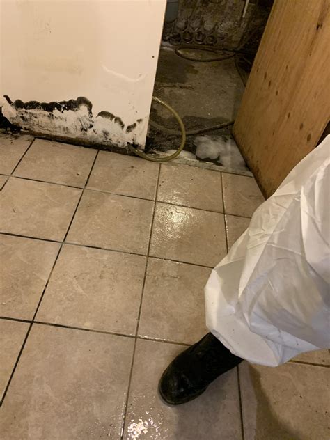 Overland Flooding Vs Sewer Backup Restoration Toronto