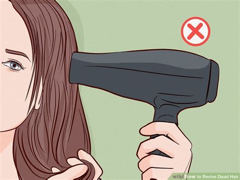 how to revive dead hair follicles