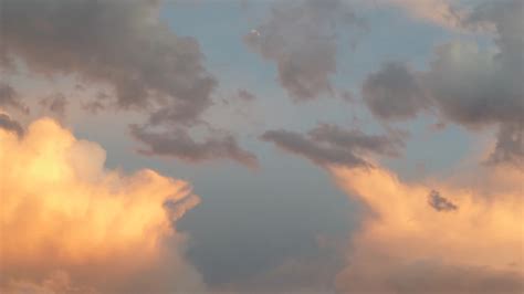 Bowling Green, KY Weather Forecast, Conditions, and Maps – Yahoo Weather