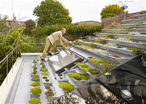 Amazing Vertical Garden on a Terraced Rooftop in London