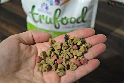 How to Get a Picky Dog to Eat - Tips, Tricks and Tools