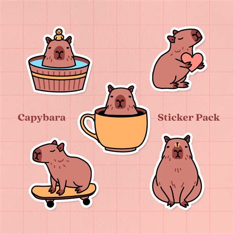 cute capybara sticker pack sticker set   adorable capybaras