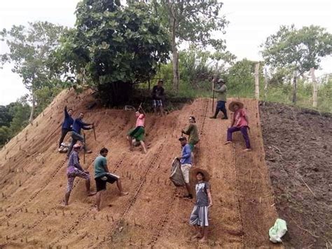 coco nets  meters  coconet role   bicol