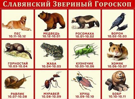 славянские года животных undefined #yandeximages | Животные, Тотемы ...