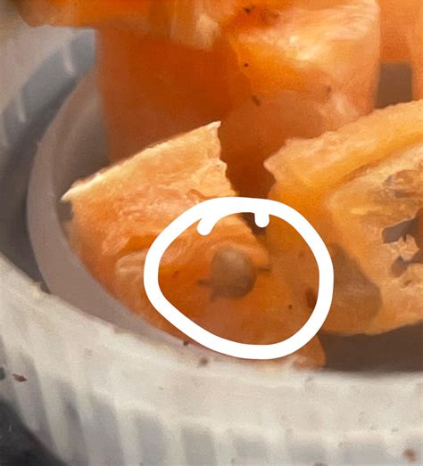 am i a snail grandma? i didn’t even know they laid eggs (i only see 2