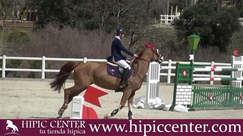 gran premio concurso hipico de salto de obstaculos nacional celebrado