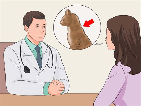 How to Make Your Cat's Fur Soft and Shiny (with Pictures)
