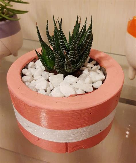 Vaso De Cimento Pintado - Vaso de cimento pintado