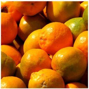 Fresh Nagpur Orange - UrbanGroc