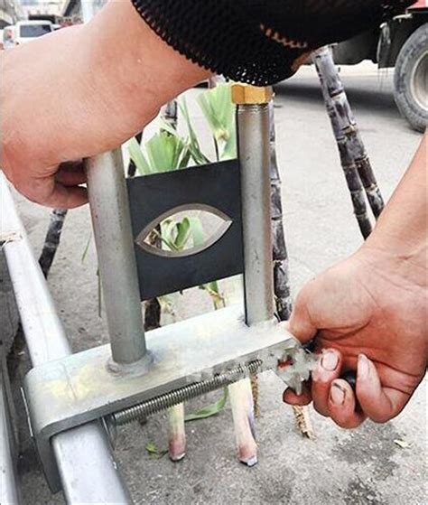 extra blade top manual sugarcane peelers grandado