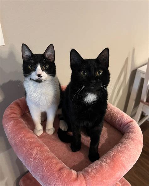 ﾟ nico | hi | Instagram