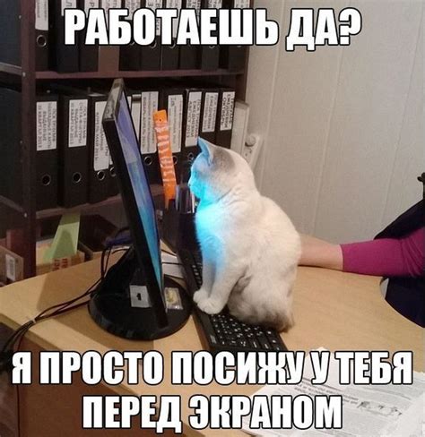 Прикольные картинки о работе (15 фото)