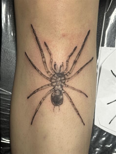 Spider tattoo gender?? : r/spiders