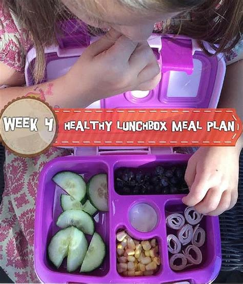 31 Healthy Kid-Friendly Lunchbox Ideas | Holley Grainger