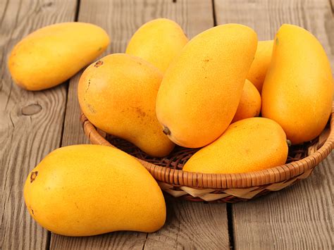 mango grading machine ambala india