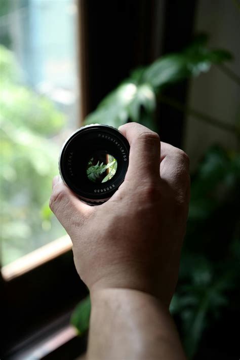 person hand holding lens  camera  stock photo
