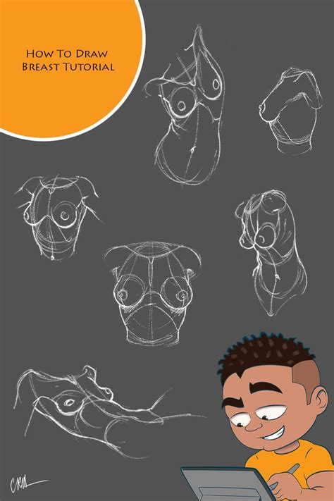 how to draw women breast