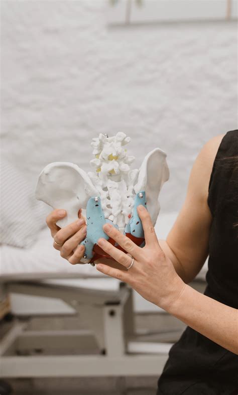 Pelvic Pain — The Pelvic Studio | Hobart Physiotherapy