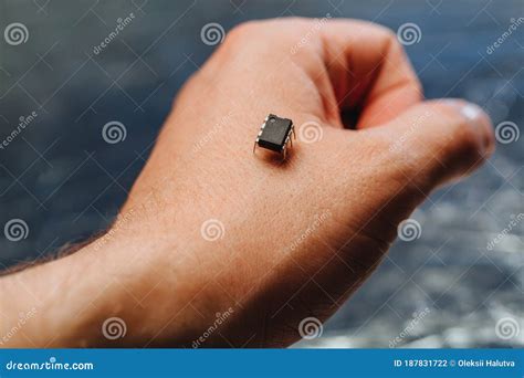 implantation   small black chip  hand stock photo image  data