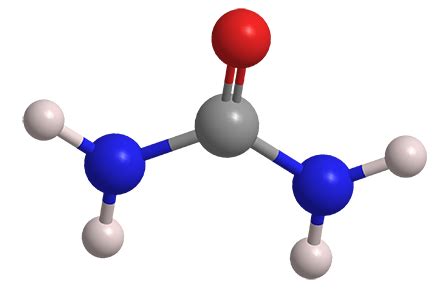urea american chemical society