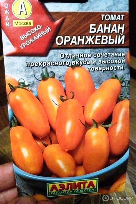 Томат Мармелад желтый: описание и характеристика сорта, урожайность с фото
