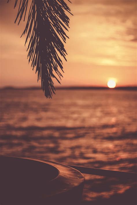 [100+] Cool Sunset Wallpapers | Wallpapers.com