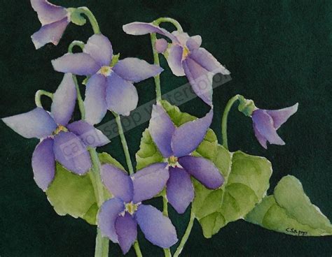 violets watercolor violet painting violets art flower painting flower