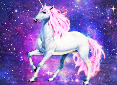 All About Unicorns
