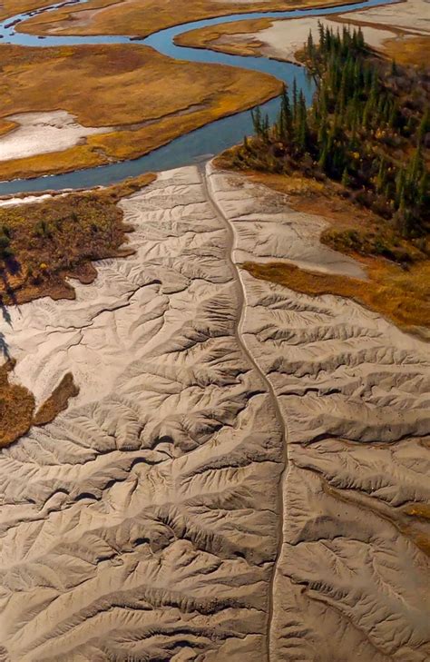 Wood Buffalo National Park | Fort McMurray Wood Buffalo