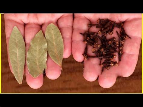 Mix Bay Leaf With Cloves And You Will Thank Me For The Recipe ...
