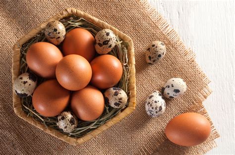 buat anak lebih sehat telur ayam  telur puyuh kanyaid