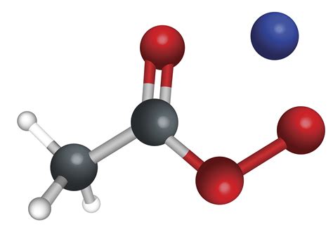 Exposed: The Secret Behind The Kattpaccino Leak - Truth or Fiction