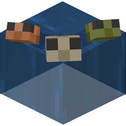how to get tadpoles in minecraft