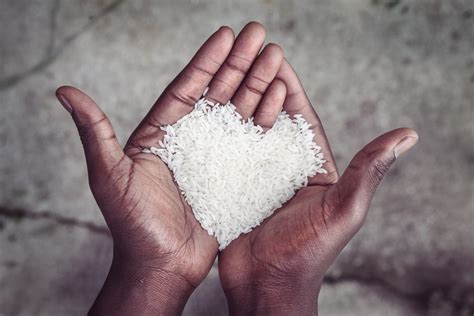 El Arroz Es Un Producto Elaborado Industrialmente