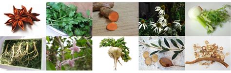 natural aphrodisiacs