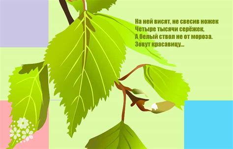 Загадки про березу для детей