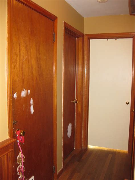 How To Paint Hollow Core Interior Doors at Sandra Weaver blog