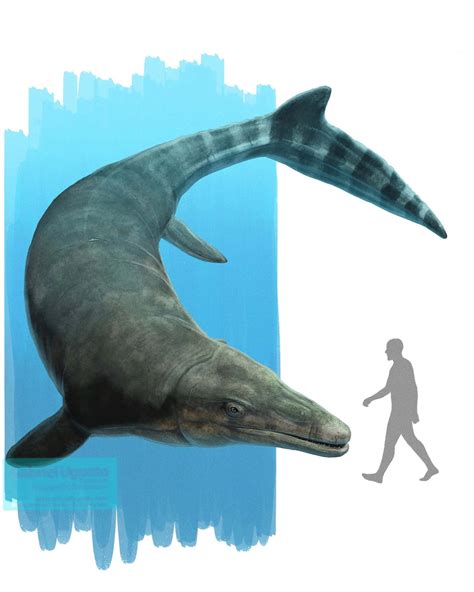 mosasaurus paleopedia wiki fandom