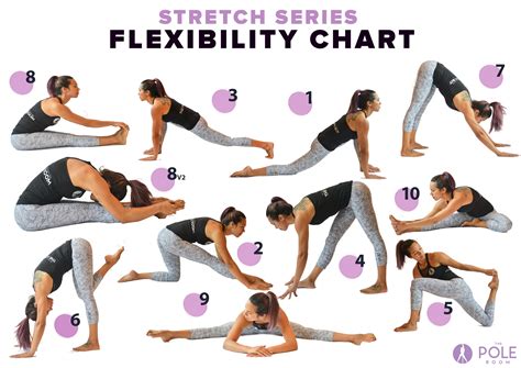 What Are Some Examples Of Flexibility Exercises - CARDIO WORKOUT ROUTINE