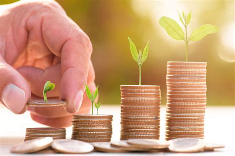 understanding fund  fund fof investment tips axis bank
