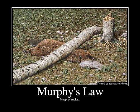 23 Murphy's Law ideas | murphy law, murphy, law